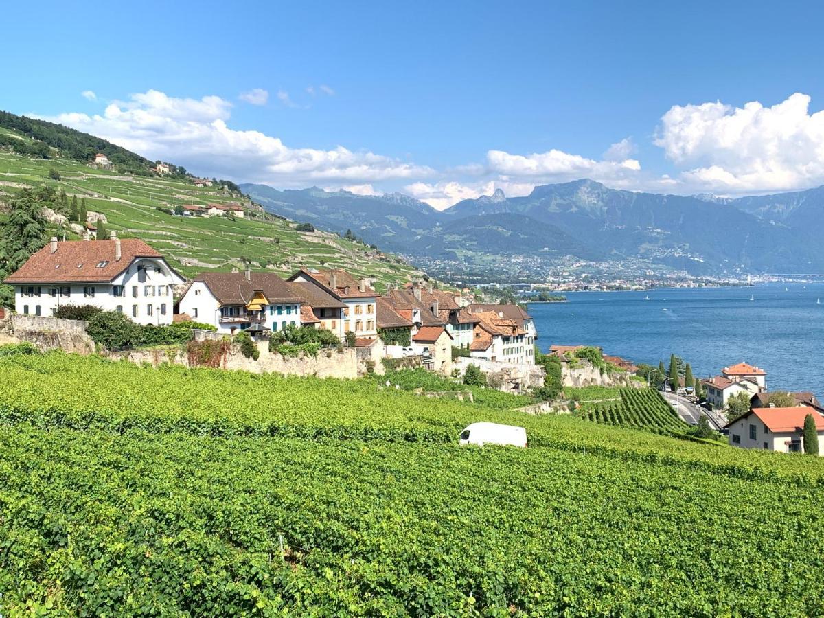 La Gremillette Gourmande Lavaux Apartment Rivaz Exterior photo