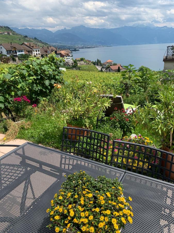 La Gremillette Gourmande Lavaux Apartment Rivaz Exterior photo