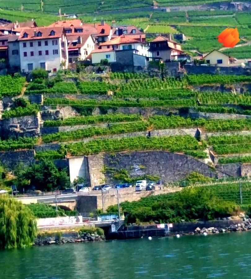 La Gremillette Gourmande Lavaux Apartment Rivaz Exterior photo