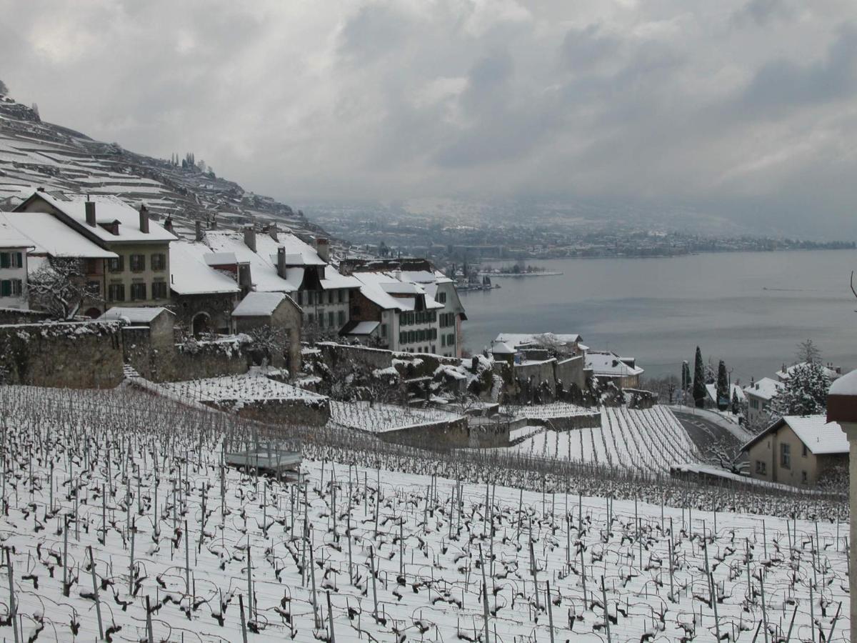 La Gremillette Gourmande Lavaux Apartment Rivaz Exterior photo